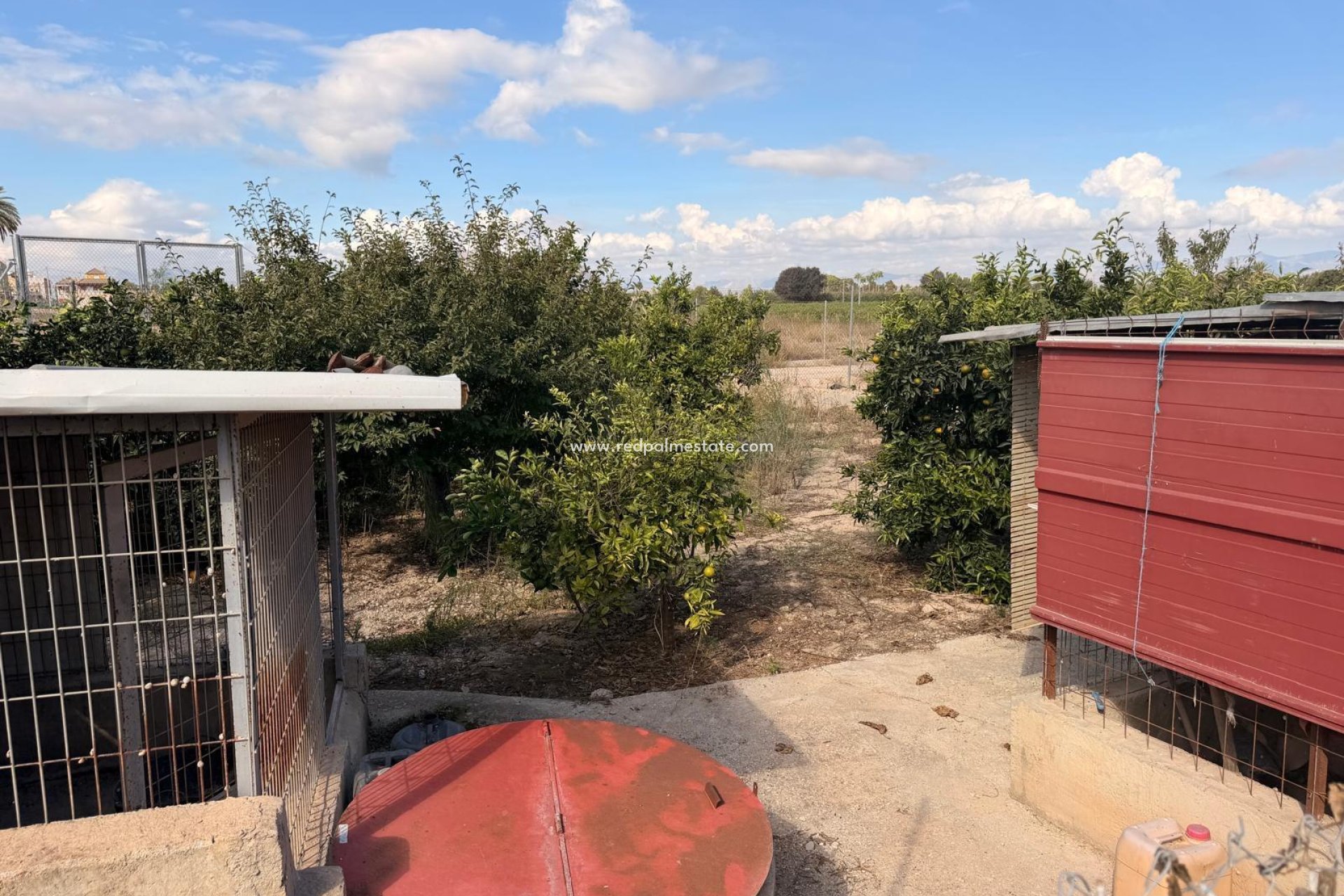 Reventa - Finca / Propiedad de Campo -
Almoradí - Partido De Las Bovedas