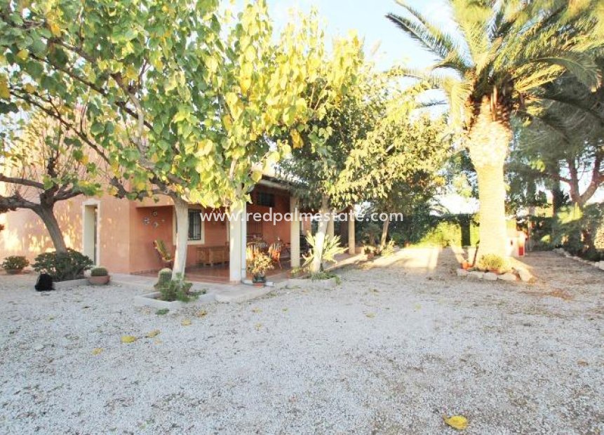 Reventa - Finca / Propiedad de Campo -
Almoradí
