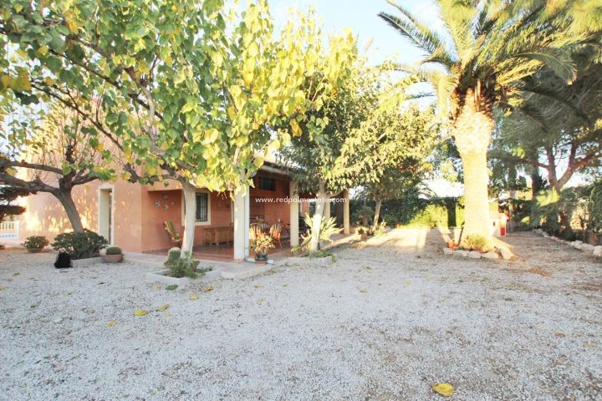 Reventa - Finca / Propiedad de Campo -
Almoradí
