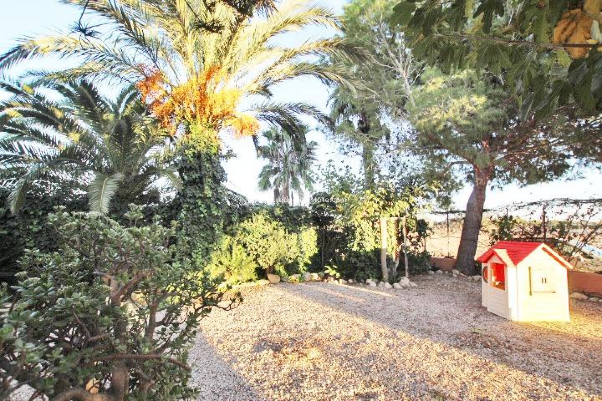 Reventa - Finca / Propiedad de Campo -
Almoradí