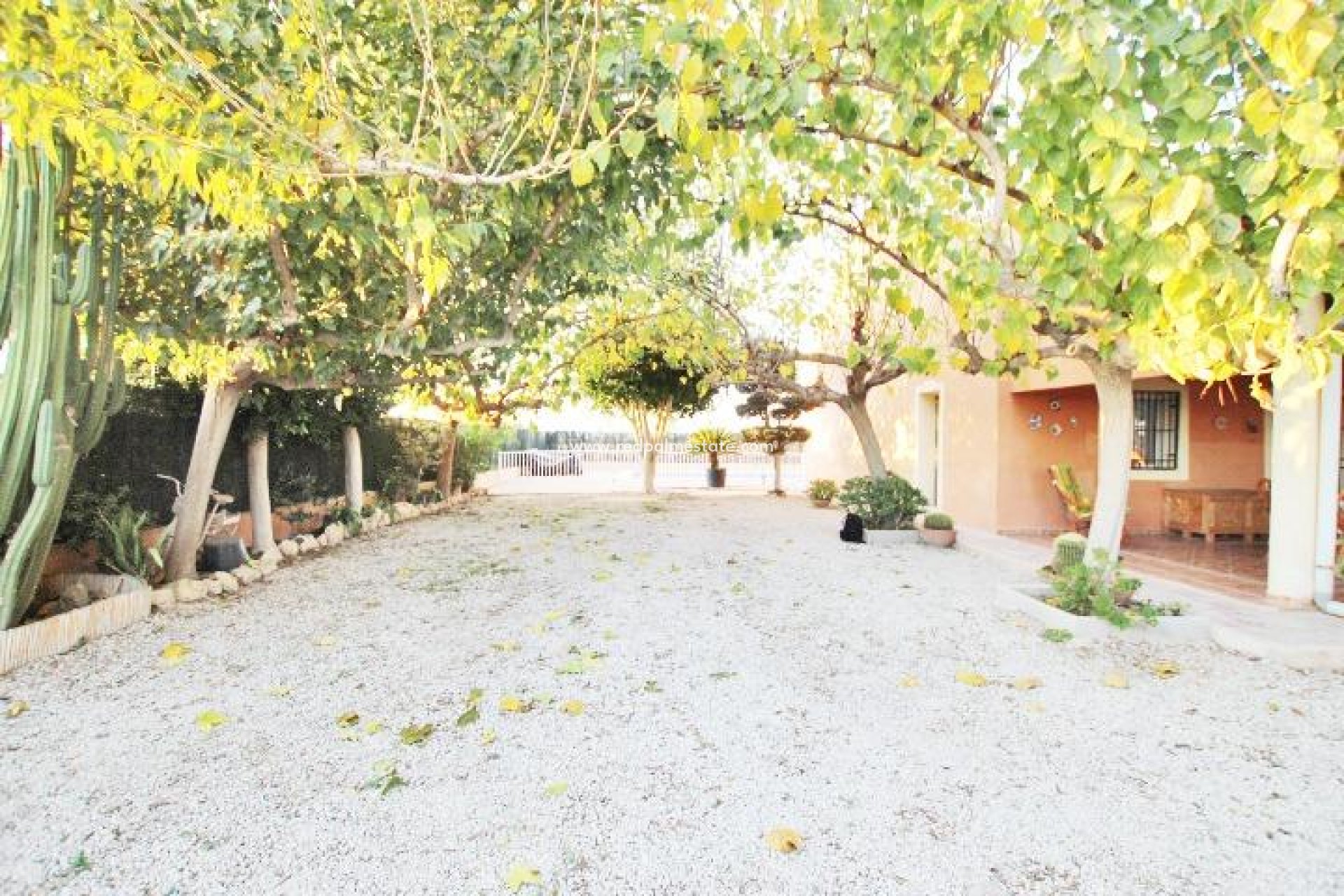 Reventa - Finca / Propiedad de Campo -
Almoradí