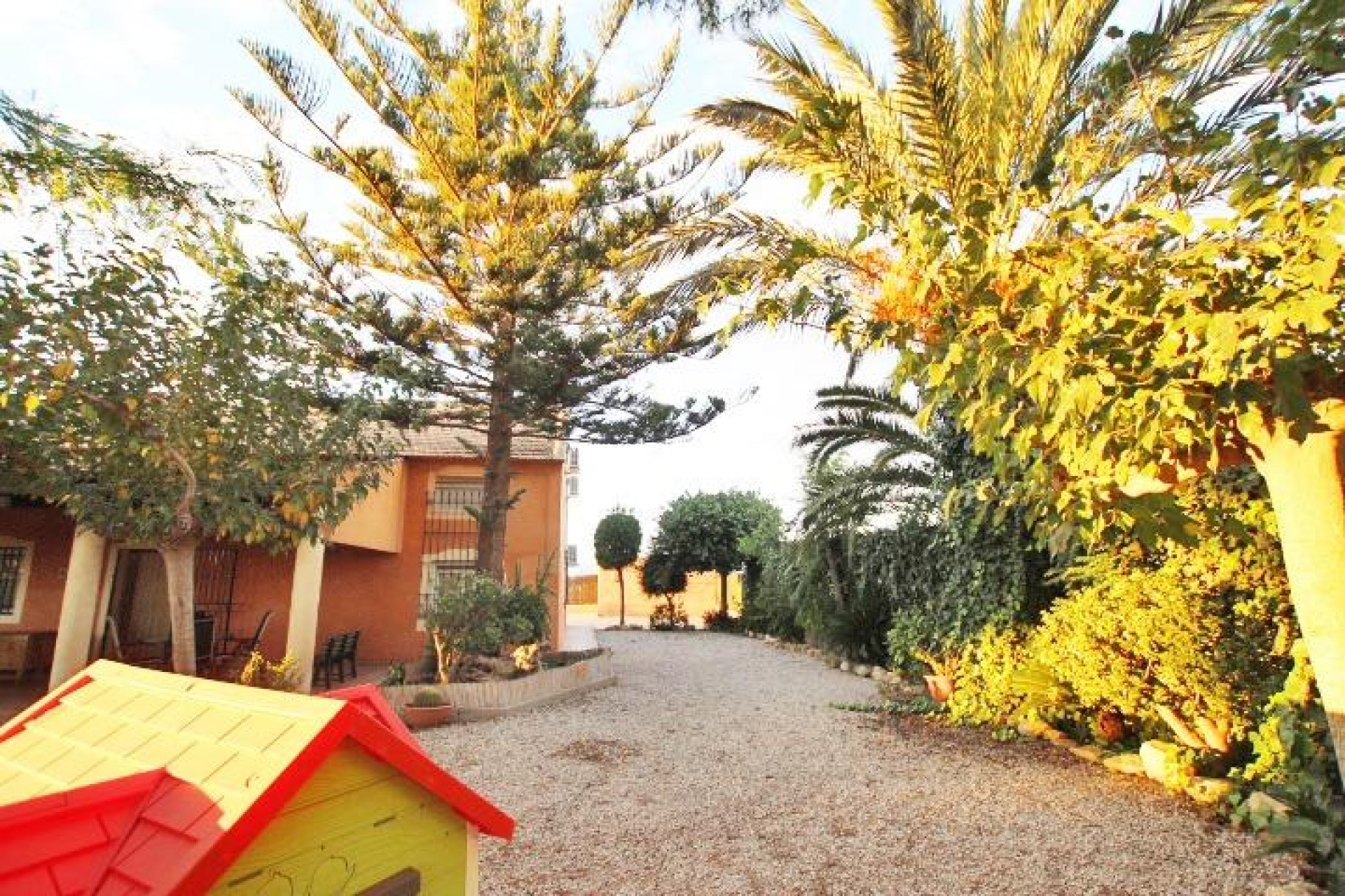 Reventa - Finca / Propiedad de Campo -
Almoradí