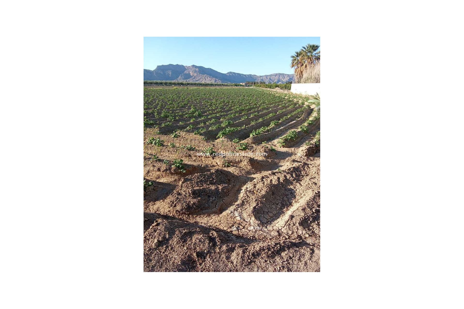 Reventa - Finca / Propiedad de Campo -
Arneva - LOS DESAMPARADOS