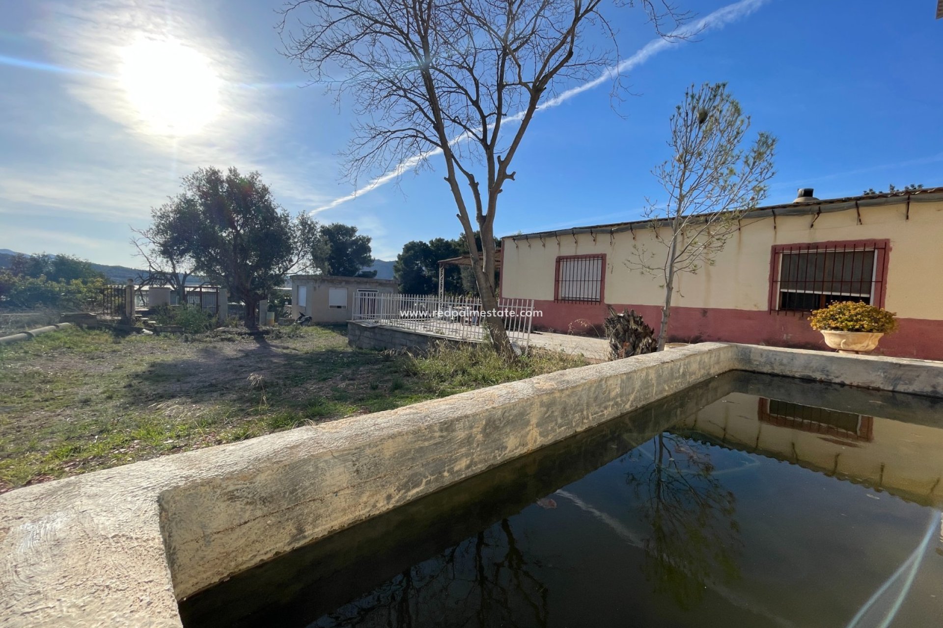 Reventa - Finca / Propiedad de Campo -
Aspe - Inland