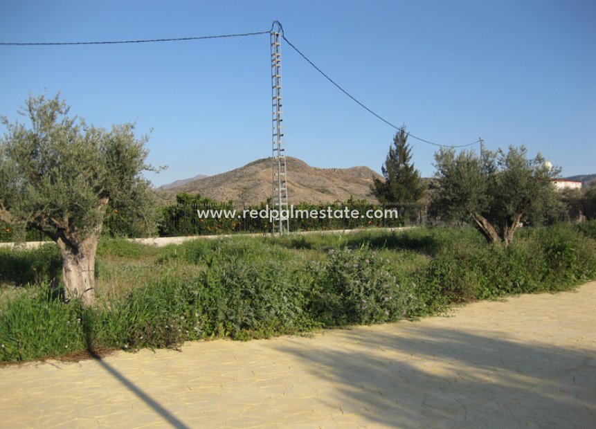 Reventa - Finca / Propiedad de Campo -
Benferri - Inland