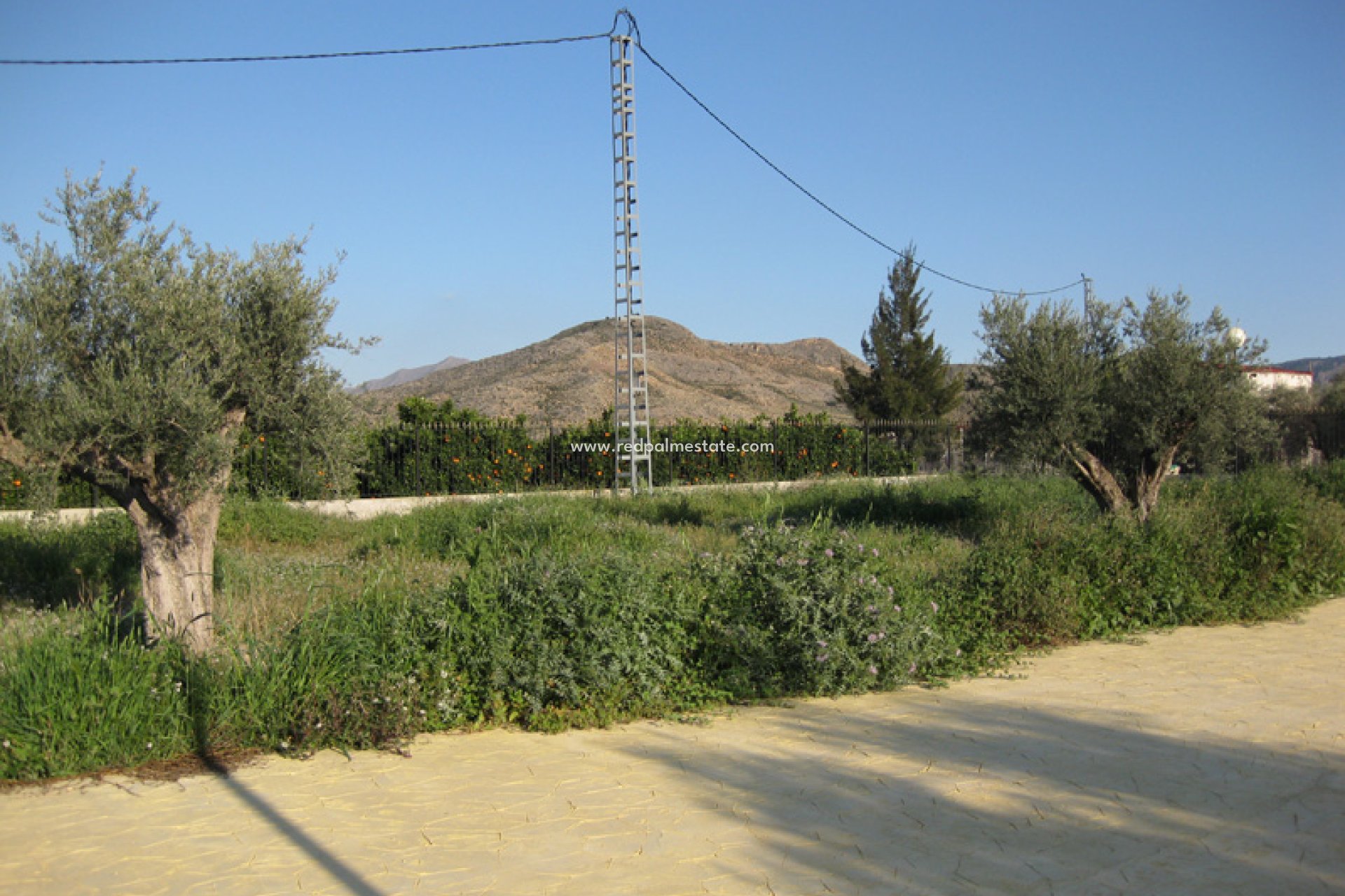 Reventa - Finca / Propiedad de Campo -
Benferri - Inland