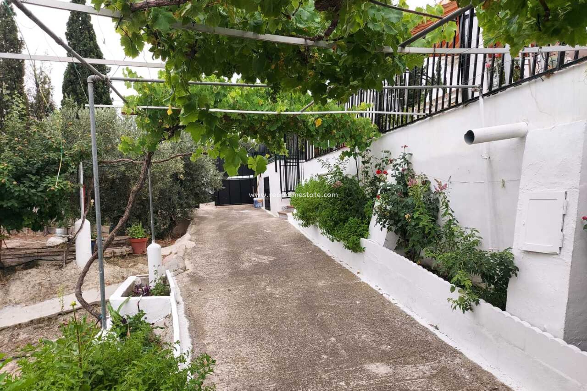 Reventa - Finca / Propiedad de Campo -
Calasparra - Inland