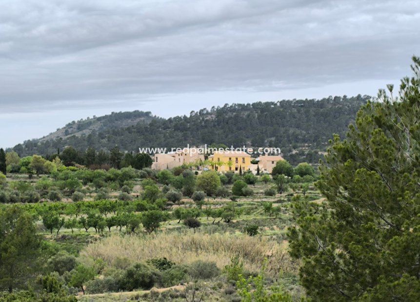 Reventa - Finca / Propiedad de Campo -
Casas del Senor - Inland