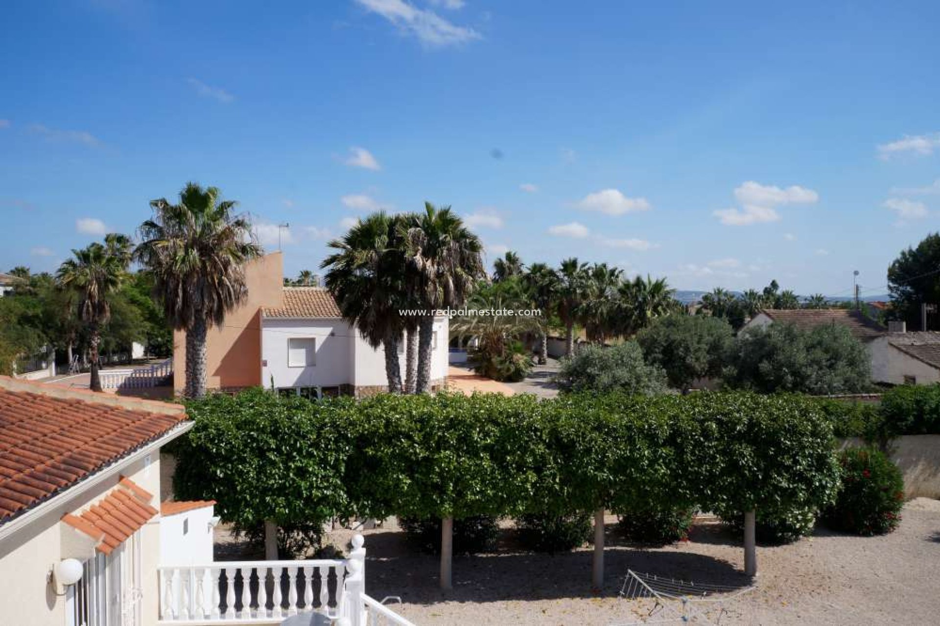 Reventa - Finca / Propiedad de Campo -
Catral