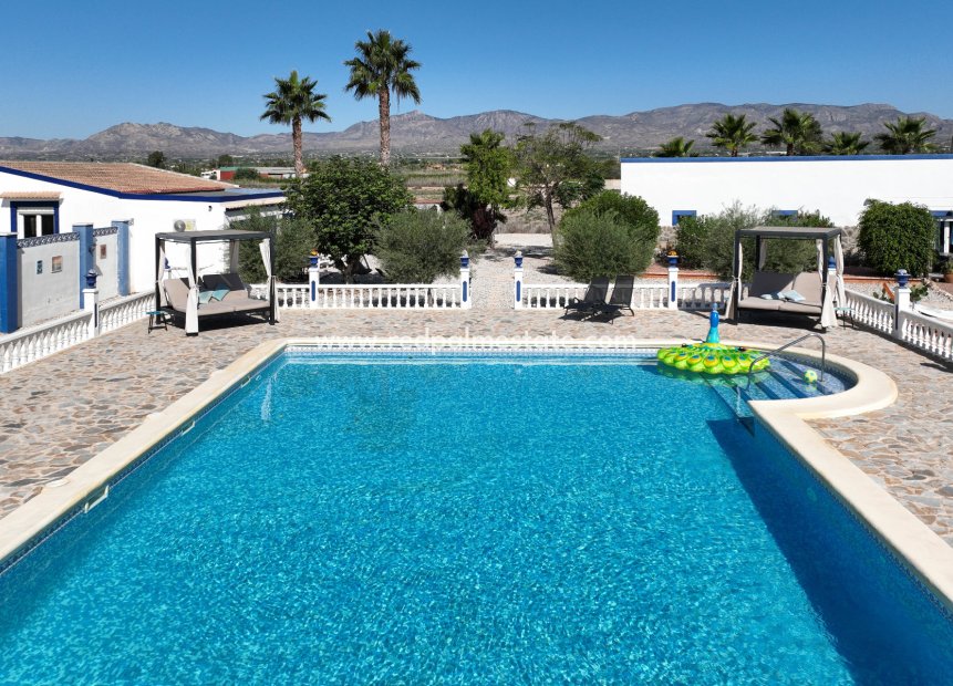 Reventa - Finca / Propiedad de Campo -
Crevillente - Inland