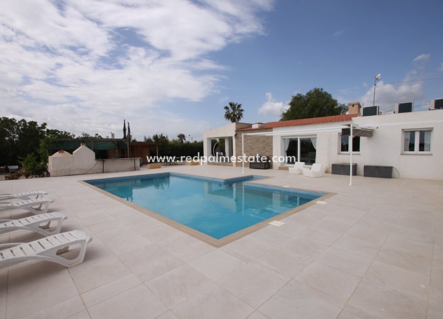 Reventa - Finca / Propiedad de Campo -
Crevillente - Inland