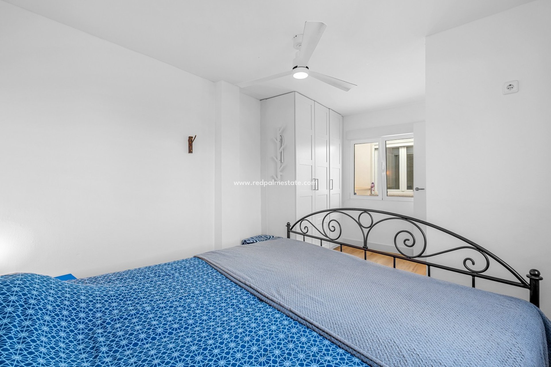 Reventa - Finca / Propiedad de Campo -
Crevillente - Inland