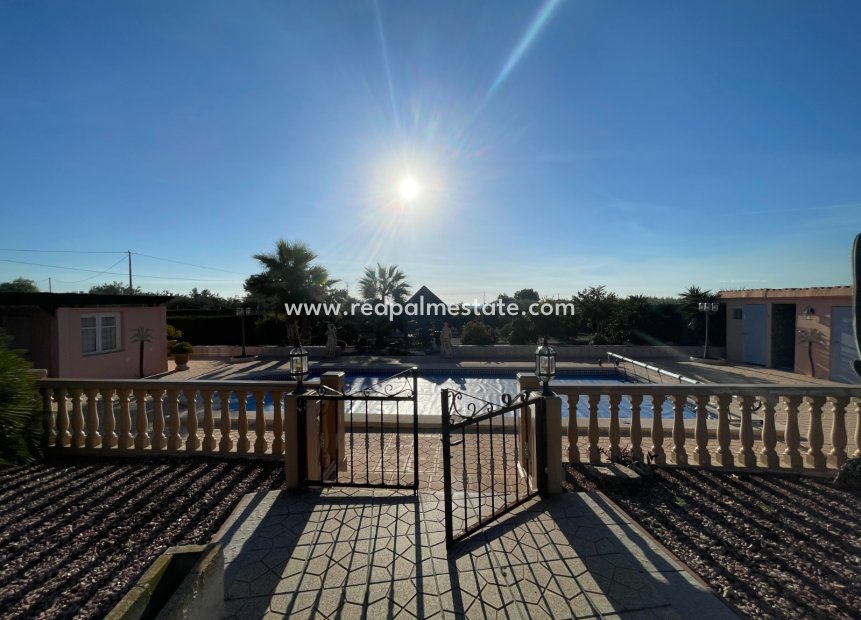 Reventa - Finca / Propiedad de Campo -
Crevillente - Inland