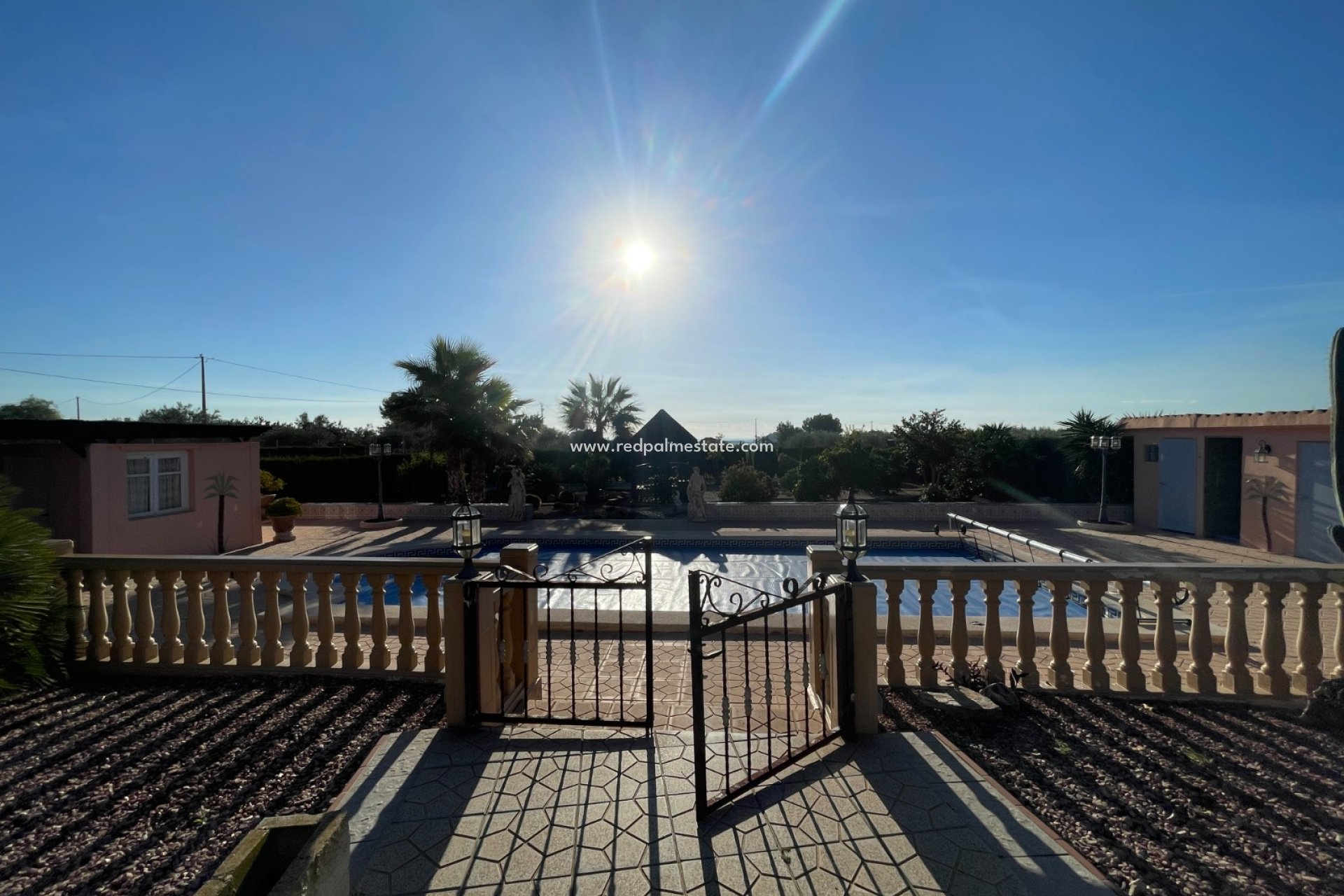 Reventa - Finca / Propiedad de Campo -
Crevillente - Inland