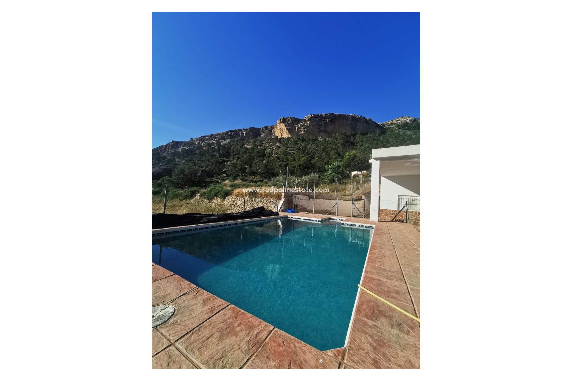 Reventa - Finca / Propiedad de Campo -
Crevillente - Inland