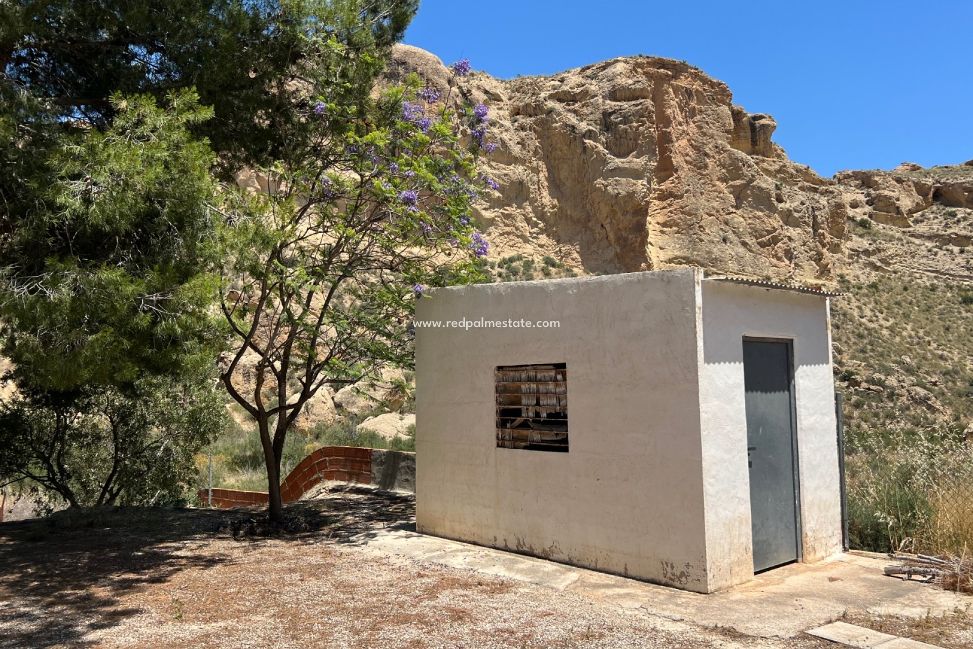 Reventa - Finca / Propiedad de Campo -
Crevillente - Inland