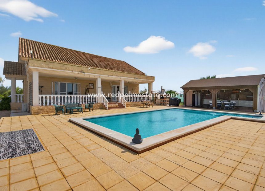 Reventa - Finca / Propiedad de Campo -
Crevillente