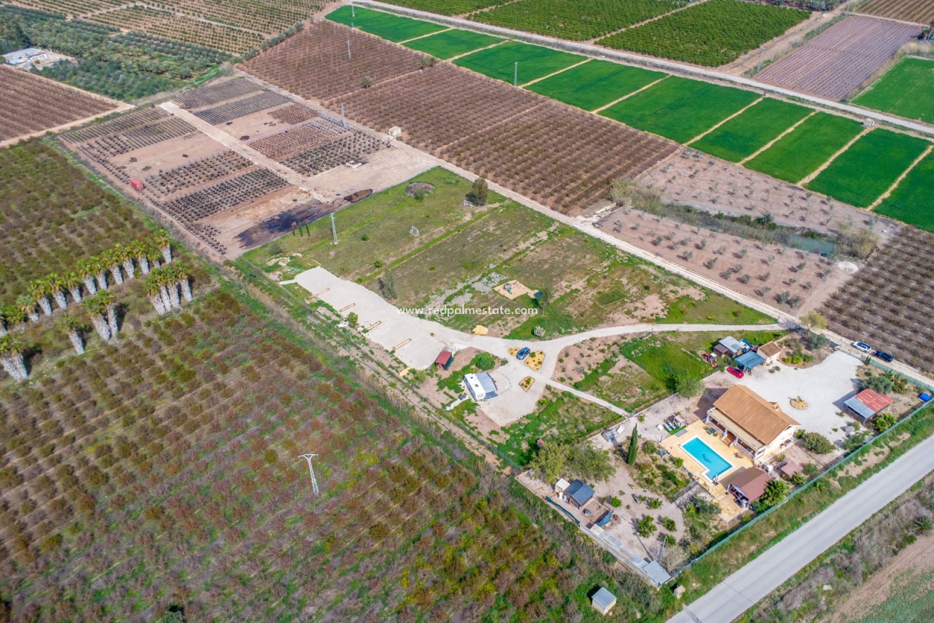 Reventa - Finca / Propiedad de Campo -
Crevillente