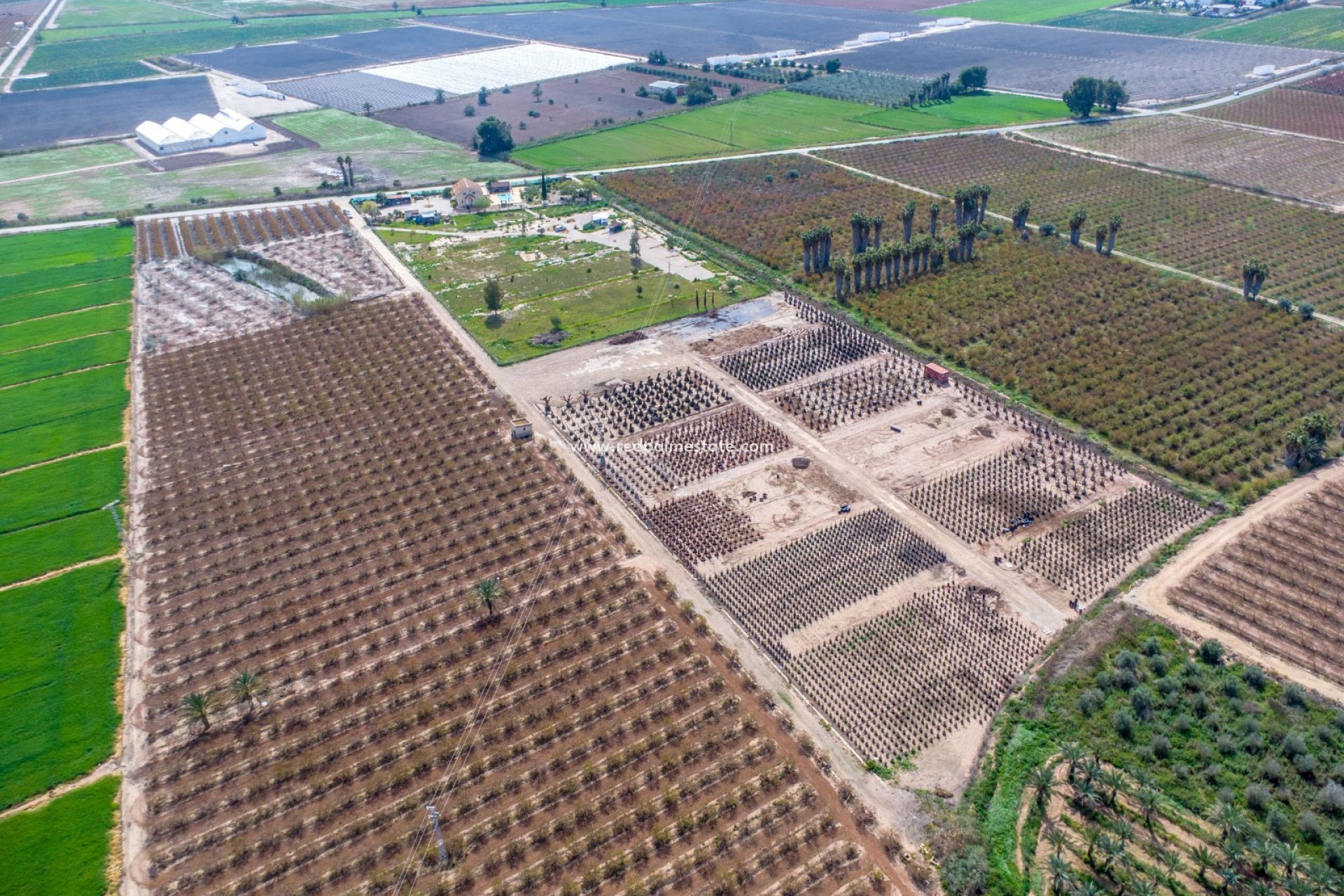 Reventa - Finca / Propiedad de Campo -
Crevillente