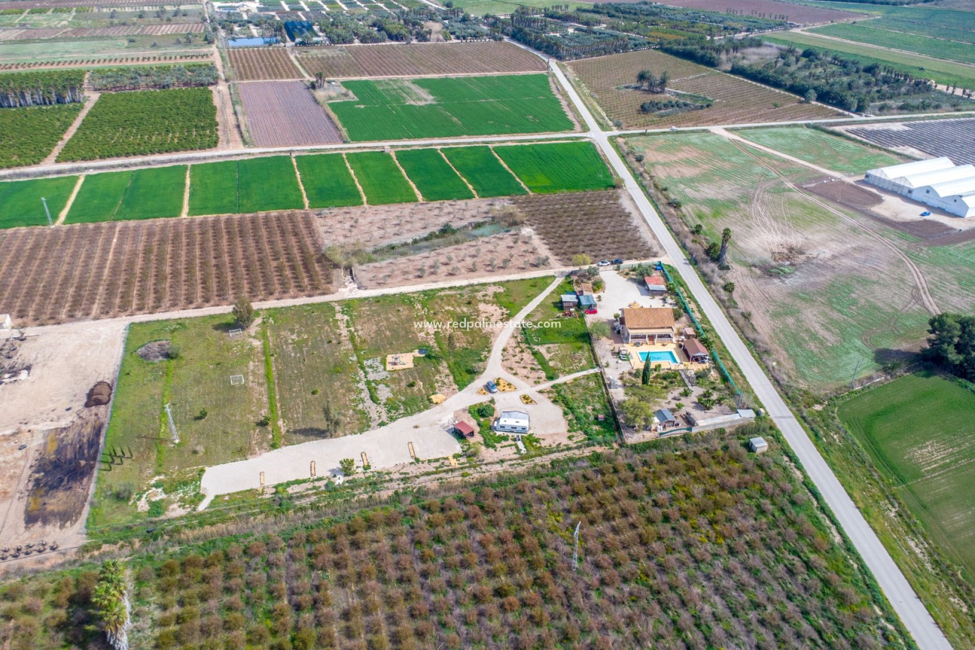 Reventa - Finca / Propiedad de Campo -
Crevillente