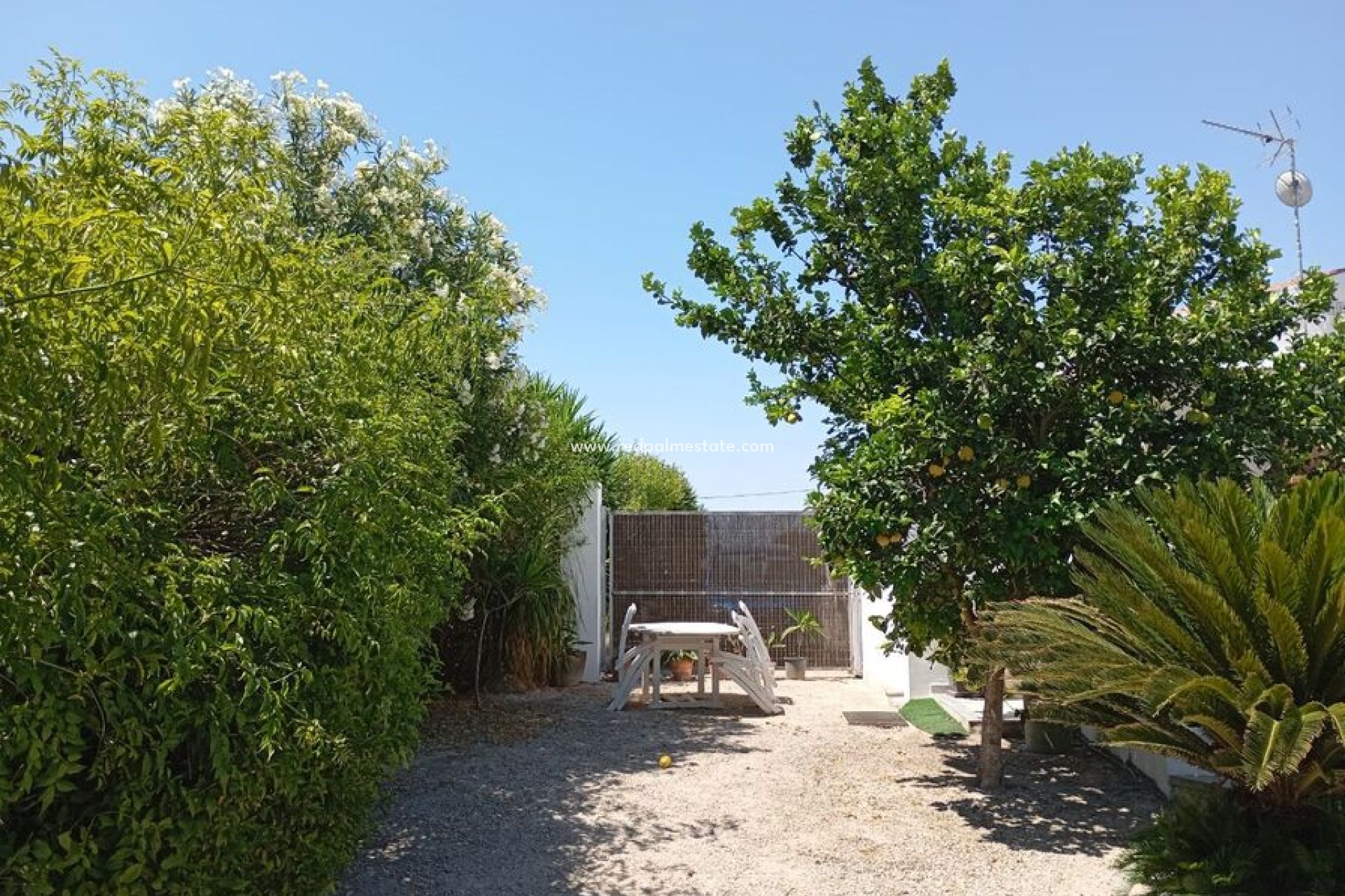 Reventa - Finca / Propiedad de Campo -
Daya Nueva - Costa Blanca