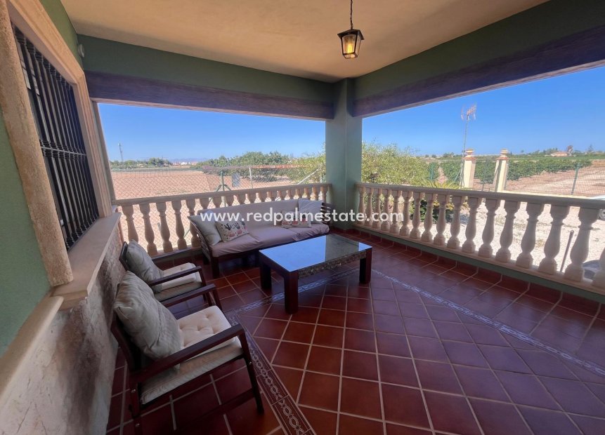 Reventa - Finca / Propiedad de Campo -
Daya Nueva - La Bodega