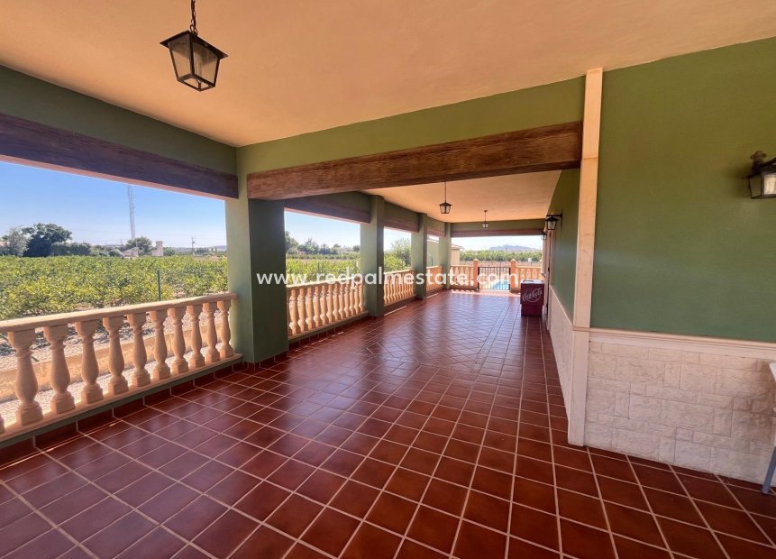 Reventa - Finca / Propiedad de Campo -
Daya Nueva - La Bodega