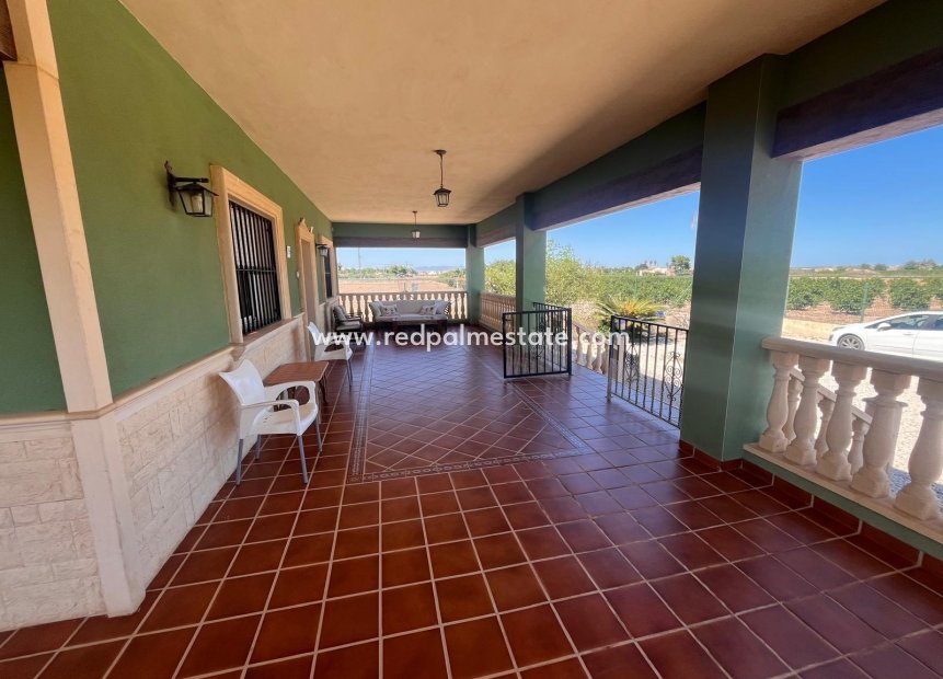 Reventa - Finca / Propiedad de Campo -
Daya Nueva - La Bodega