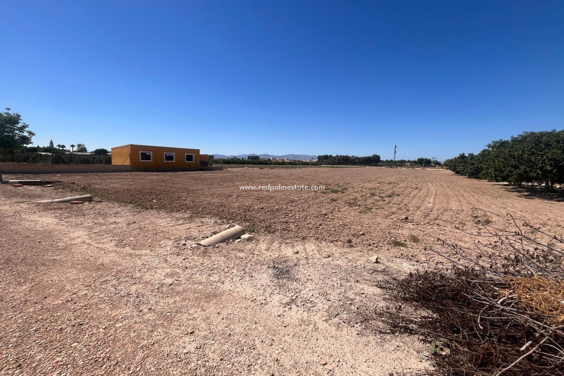 Reventa - Finca / Propiedad de Campo -
Daya Nueva - La Bodega