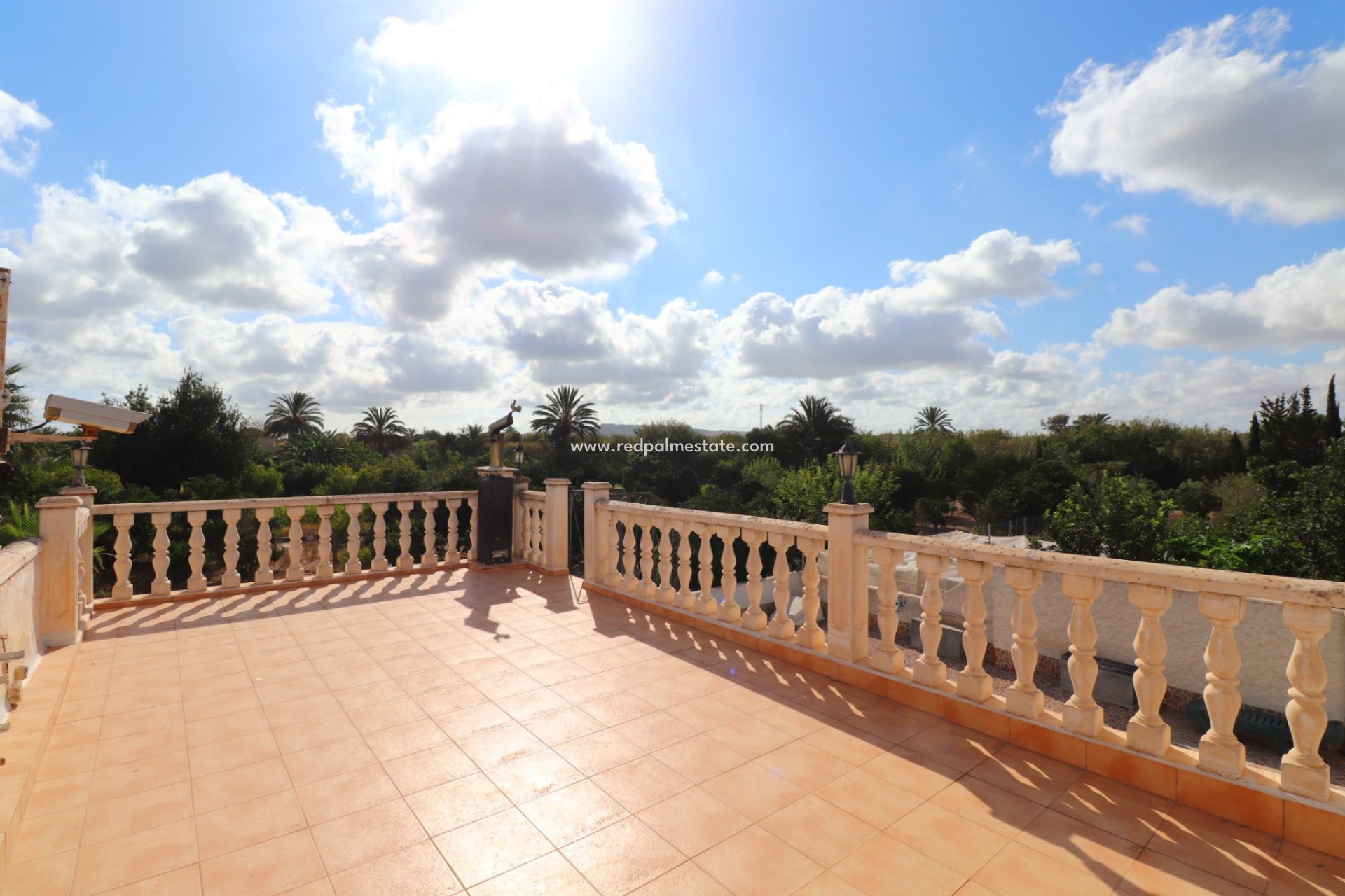 Reventa - Finca / Propiedad de Campo -
Daya Vieja - Heredades