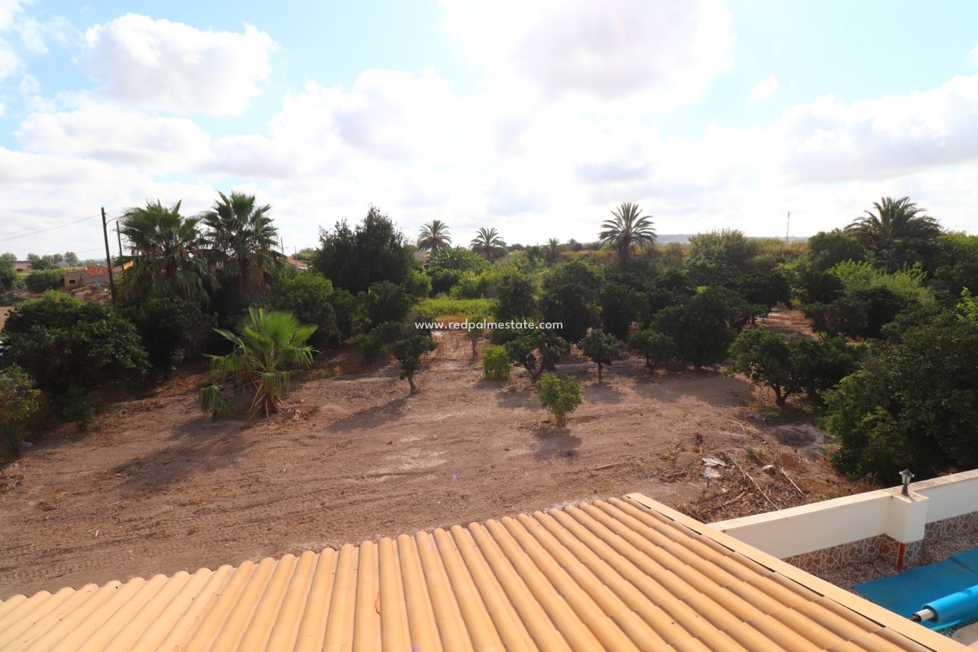 Reventa - Finca / Propiedad de Campo -
Daya Vieja - Heredades
