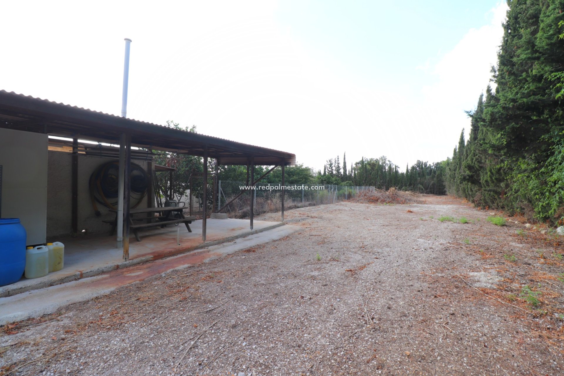 Reventa - Finca / Propiedad de Campo -
Daya Vieja - Heredades