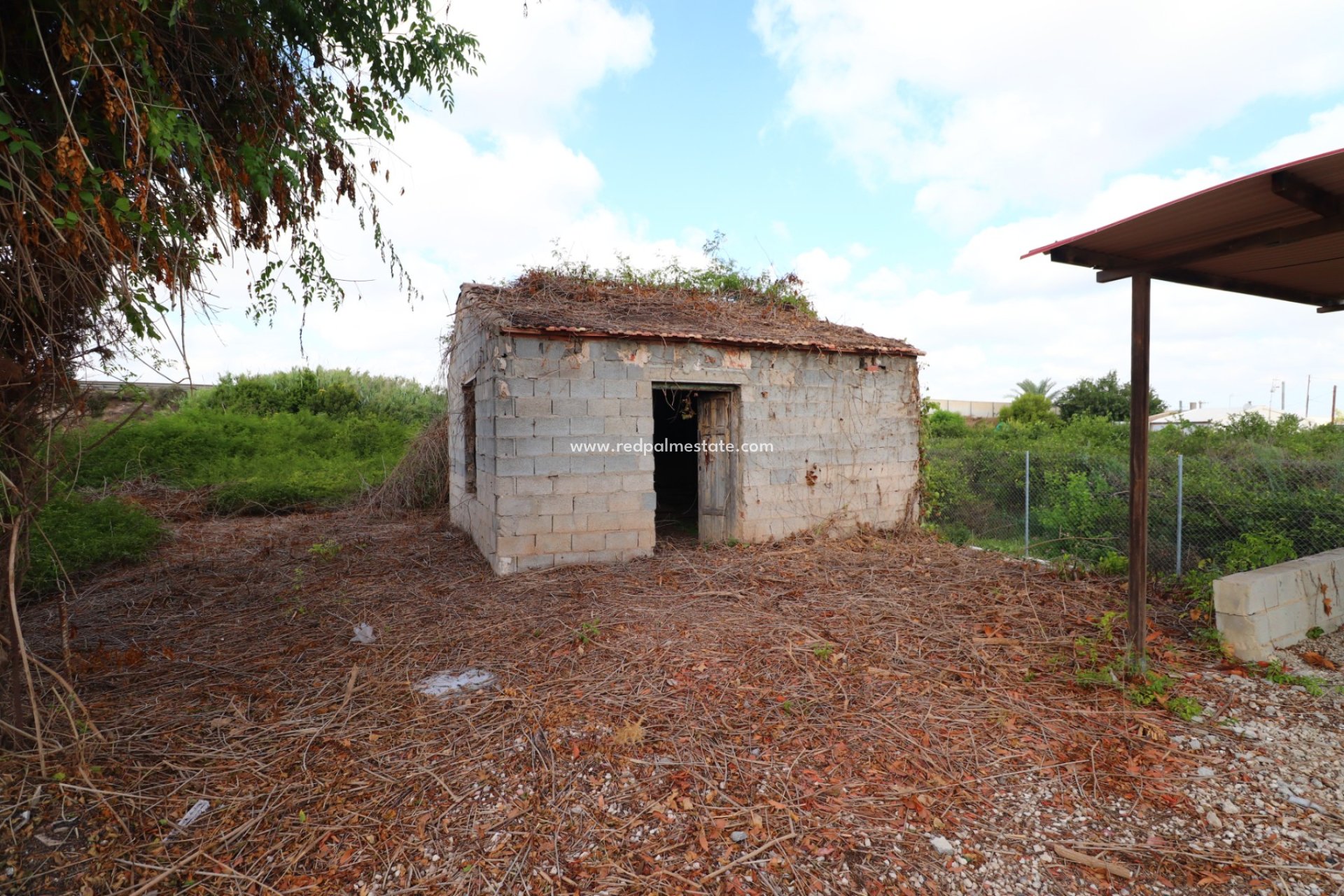 Reventa - Finca / Propiedad de Campo -
Daya Vieja - Heredades