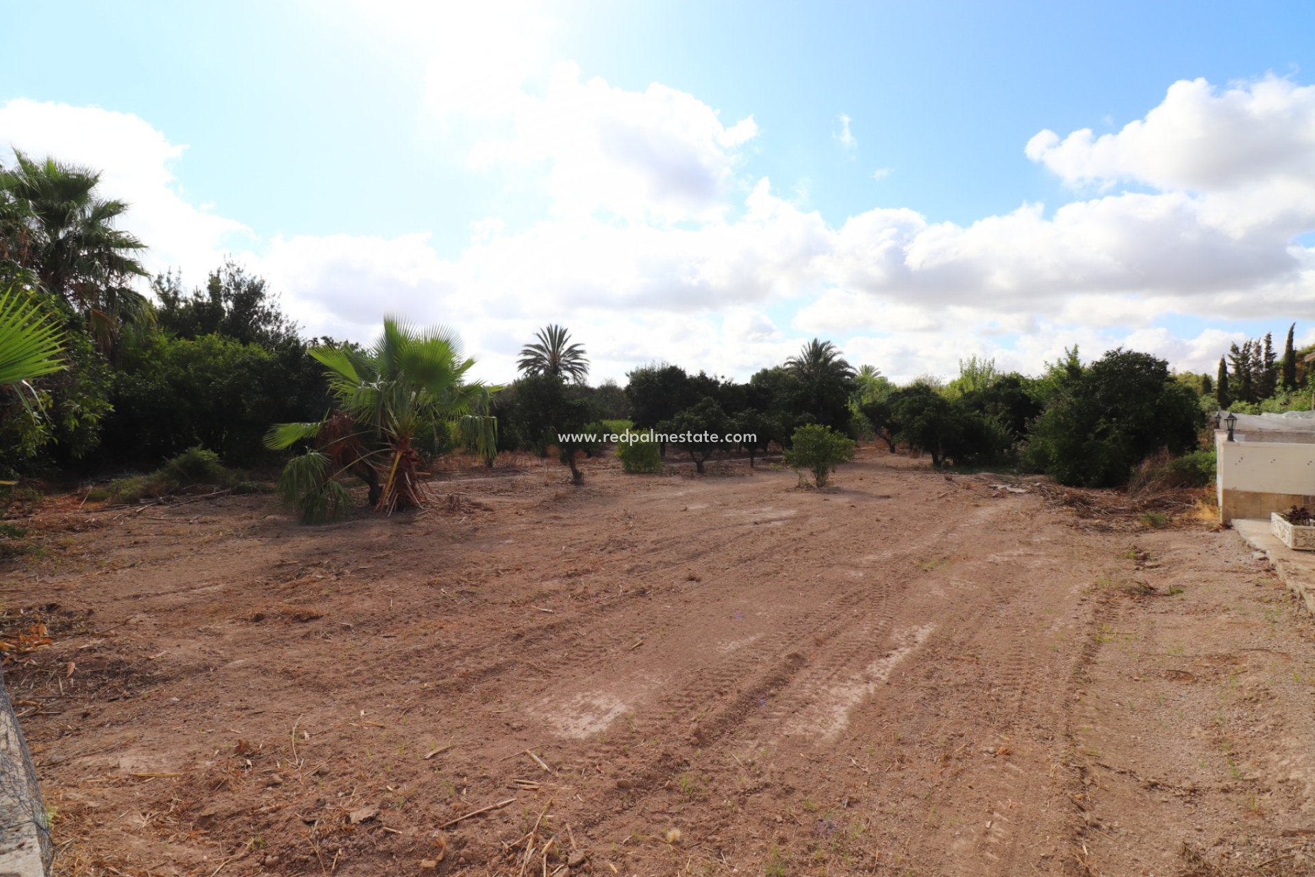 Reventa - Finca / Propiedad de Campo -
Daya Vieja - Heredades
