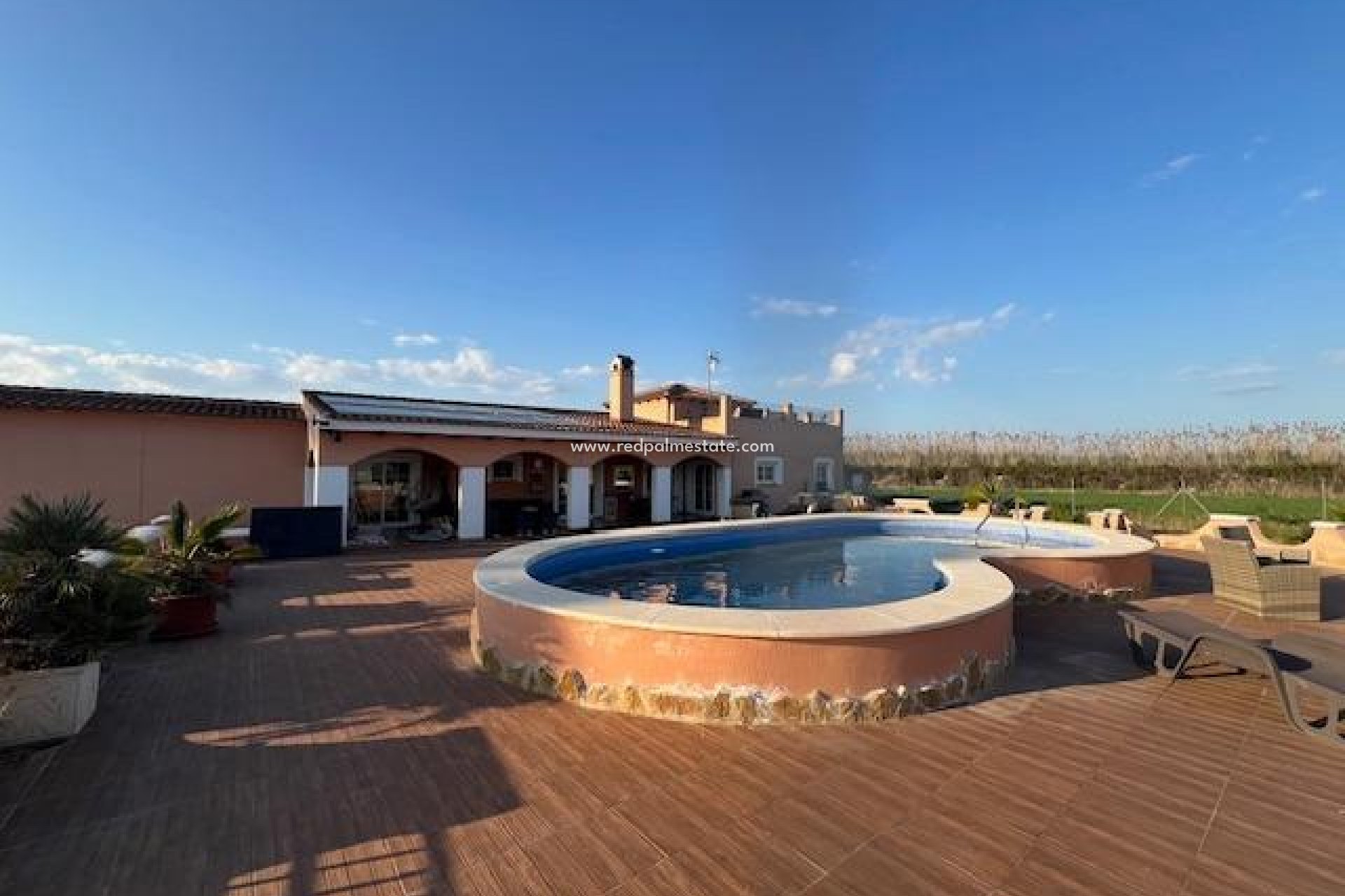 Reventa - Finca / Propiedad de Campo -
Dolores - Comunidad Valenciana