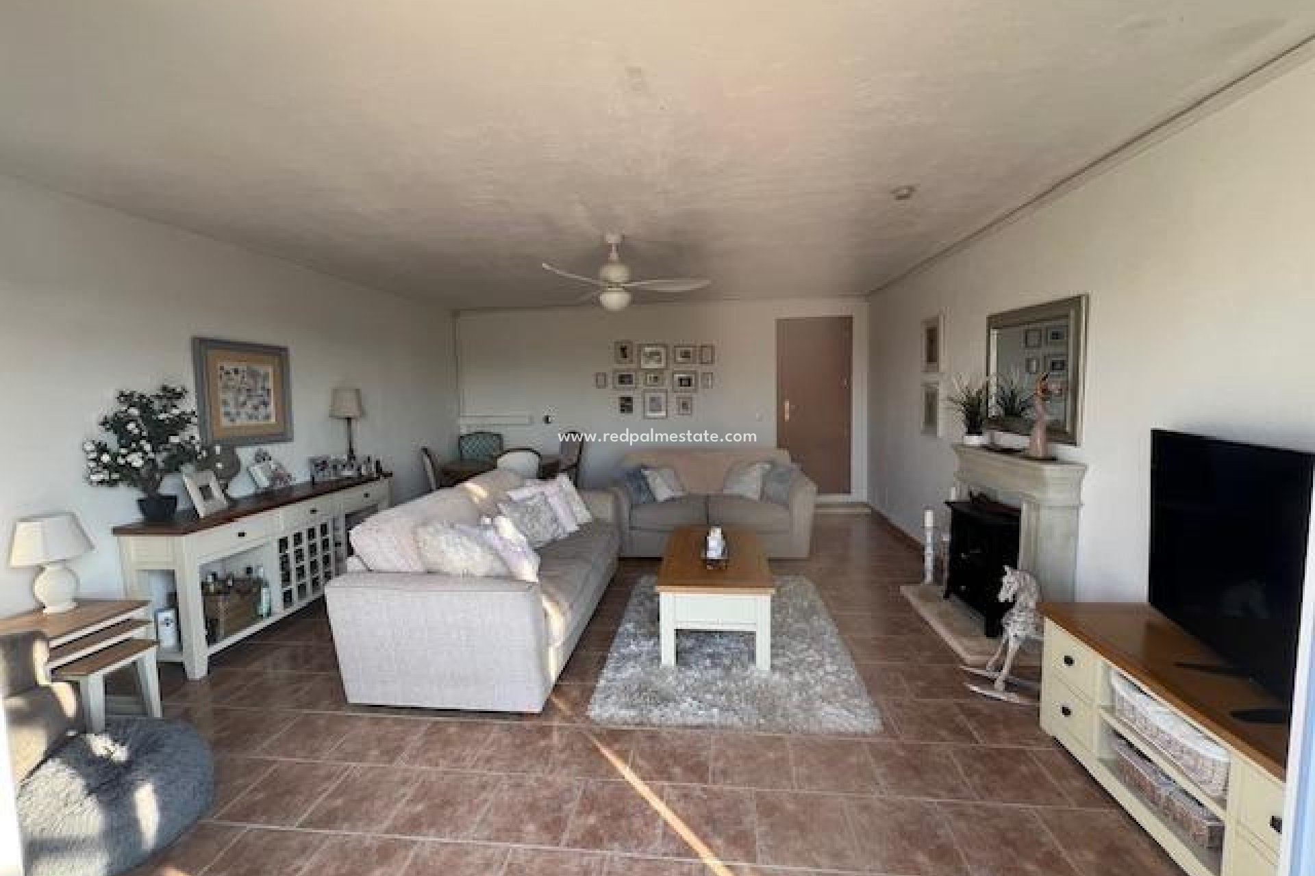 Reventa - Finca / Propiedad de Campo -
Dolores - Comunidad Valenciana