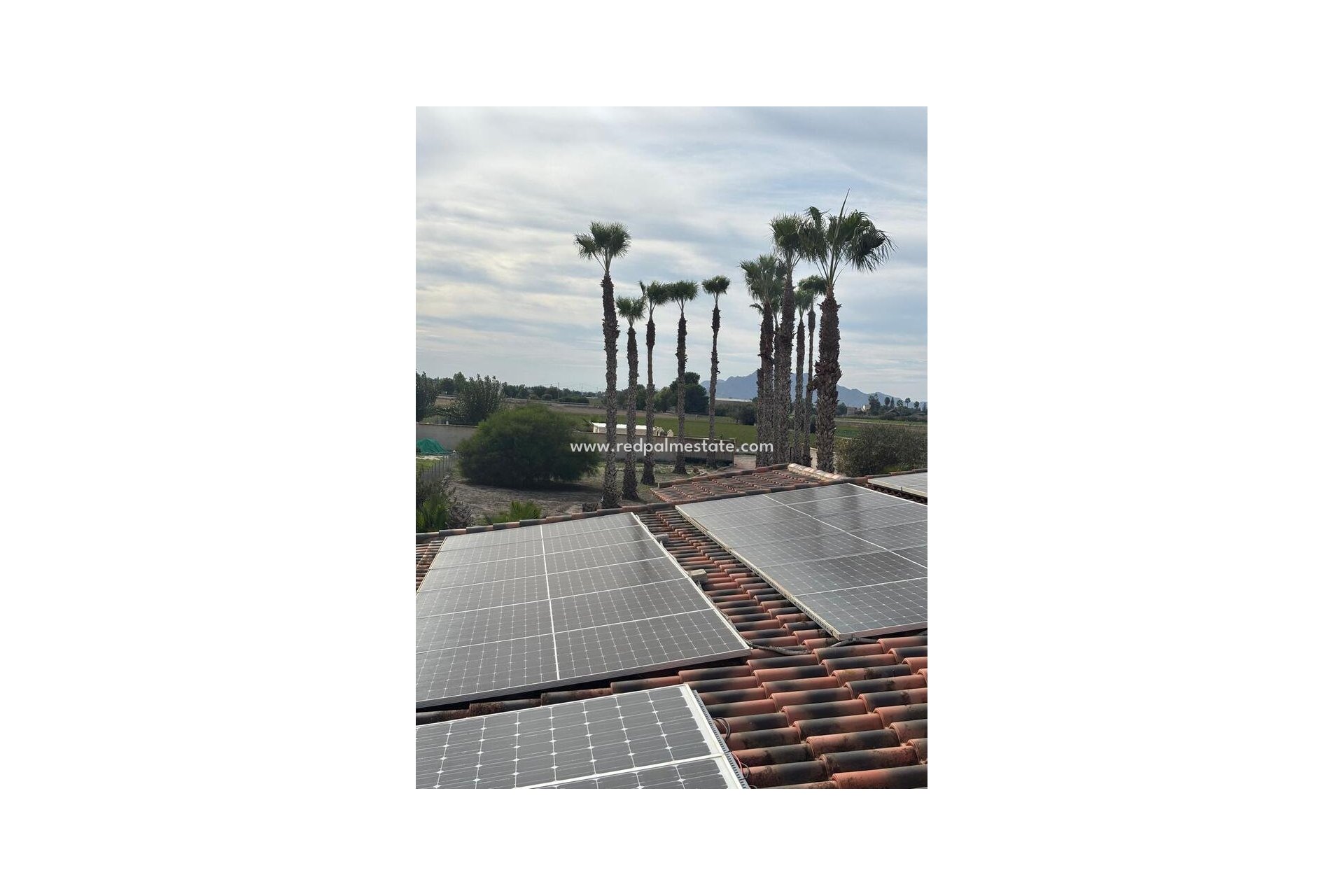 Reventa - Finca / Propiedad de Campo -
Dolores - Costa Blanca