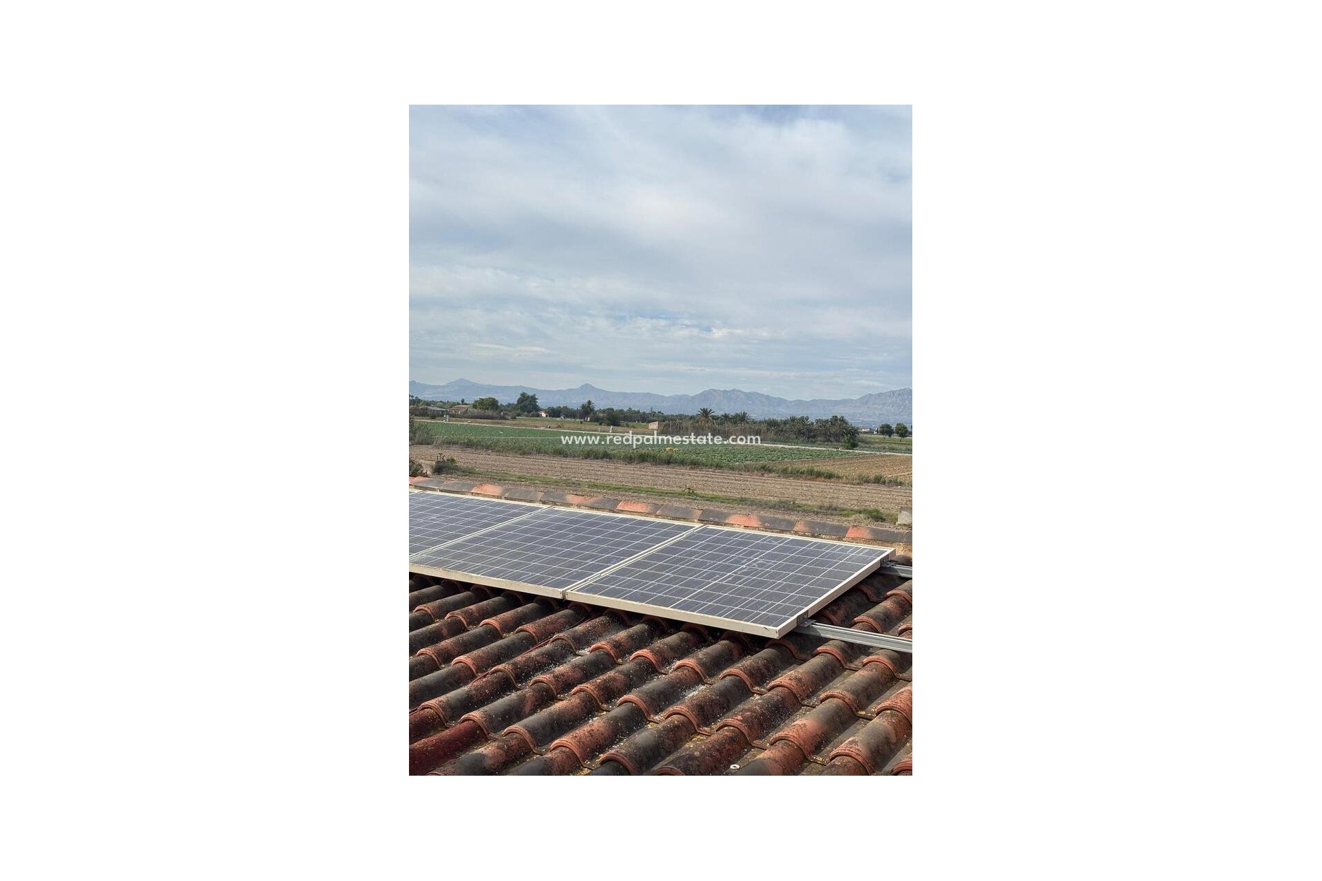 Reventa - Finca / Propiedad de Campo -
Dolores - Costa Blanca