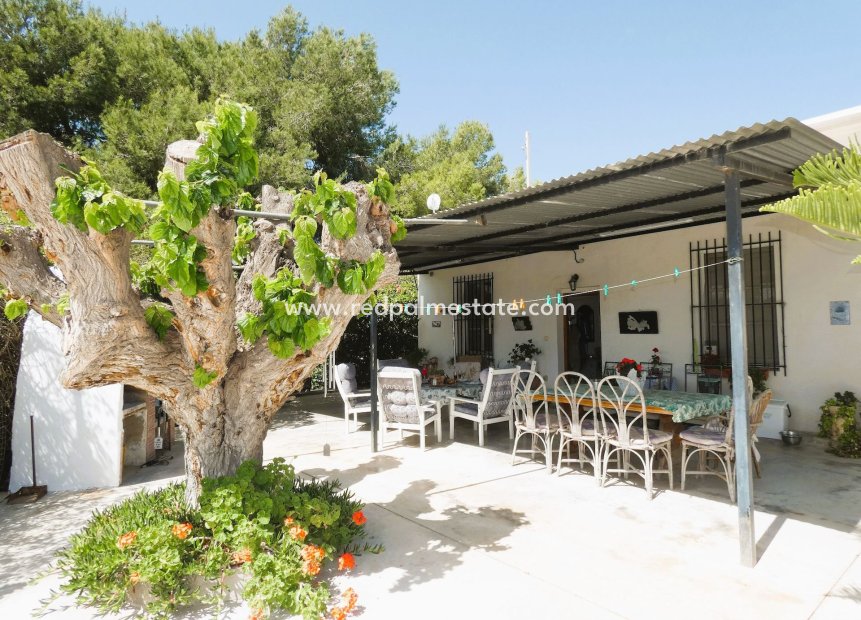 Reventa - Finca / Propiedad de Campo -
Dolores