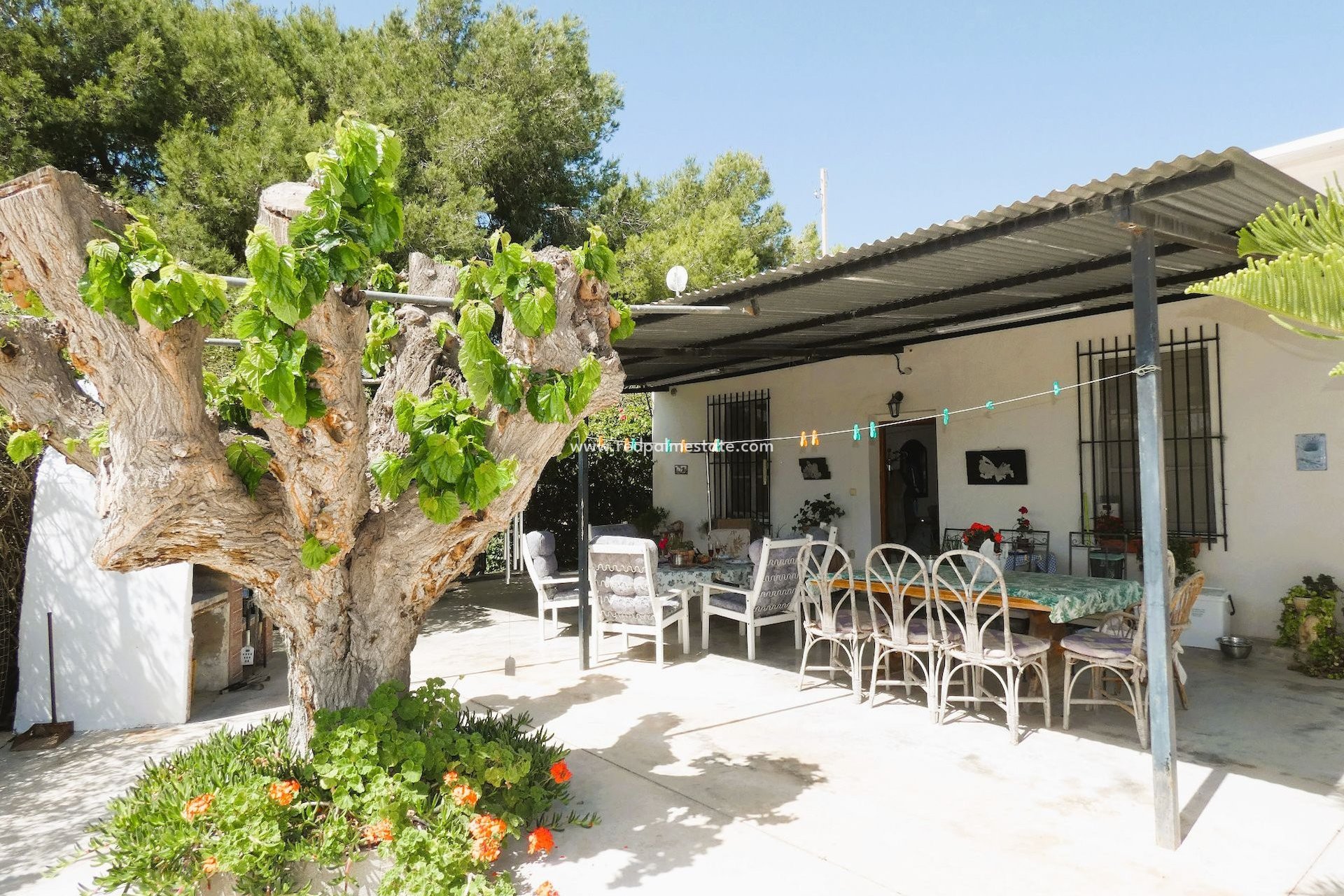 Reventa - Finca / Propiedad de Campo -
Dolores