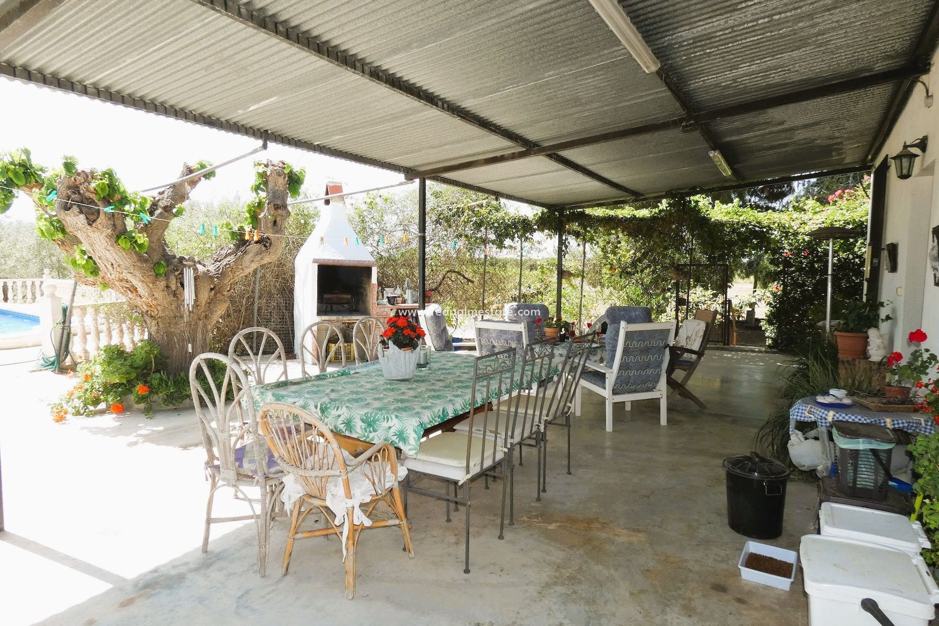 Reventa - Finca / Propiedad de Campo -
Dolores
