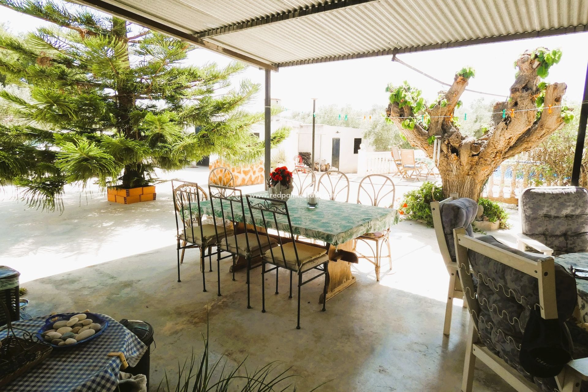 Reventa - Finca / Propiedad de Campo -
Dolores