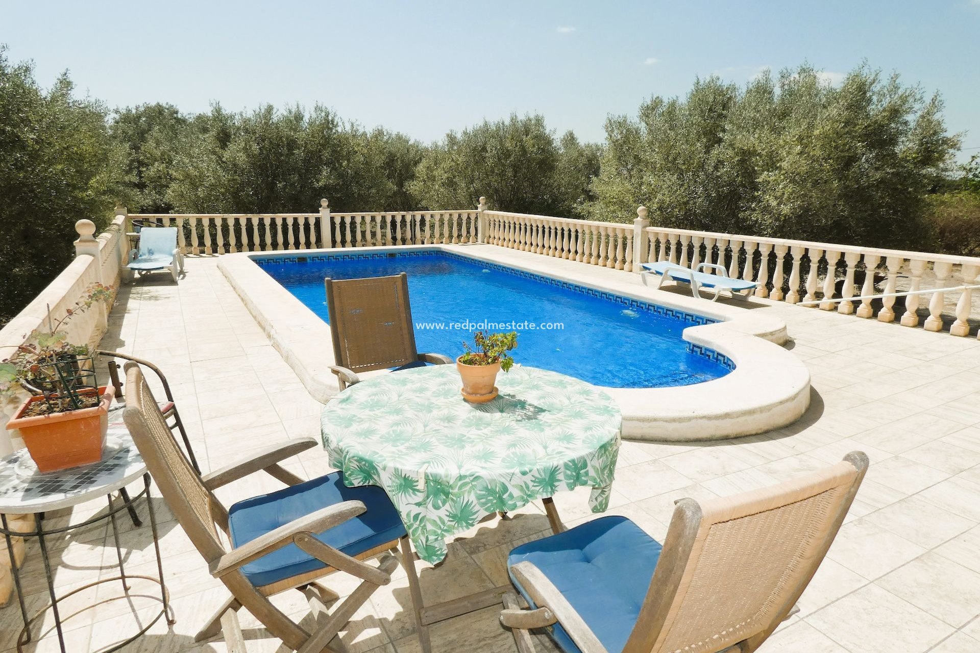 Reventa - Finca / Propiedad de Campo -
Dolores