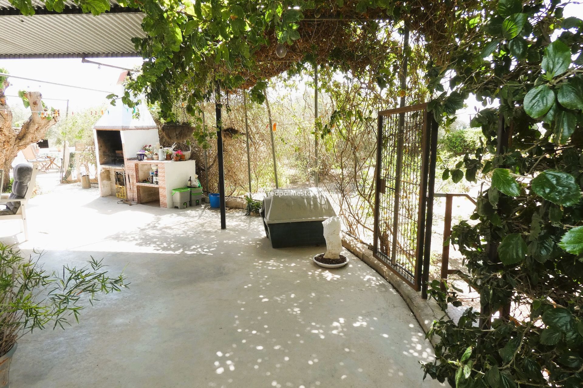 Reventa - Finca / Propiedad de Campo -
Dolores