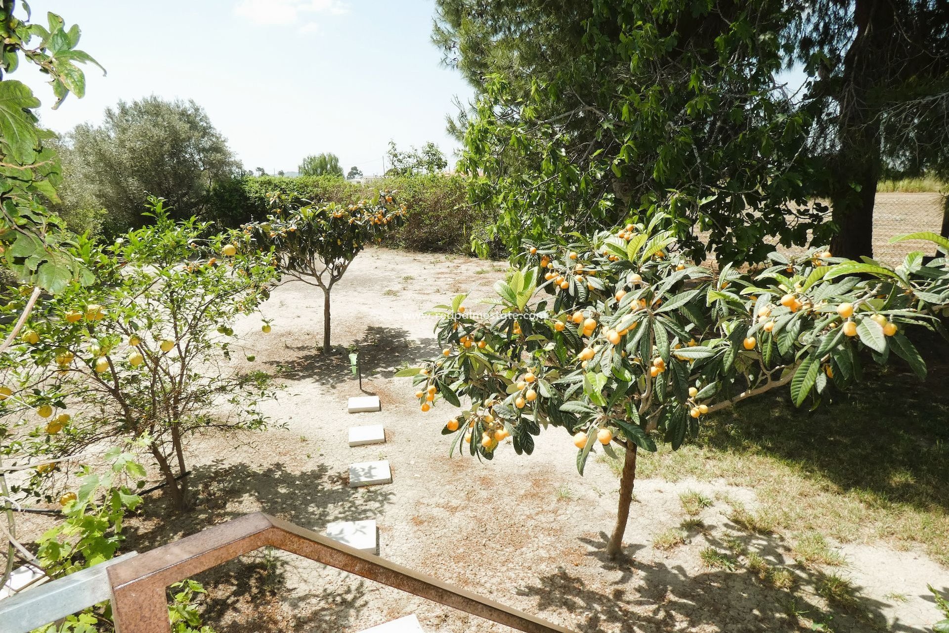 Reventa - Finca / Propiedad de Campo -
Dolores