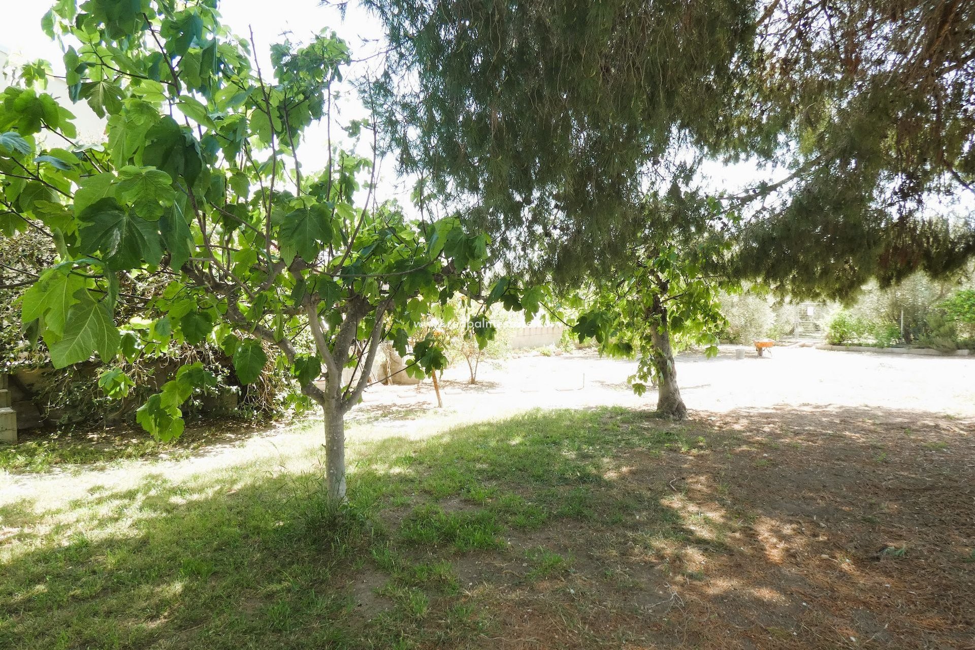 Reventa - Finca / Propiedad de Campo -
Dolores