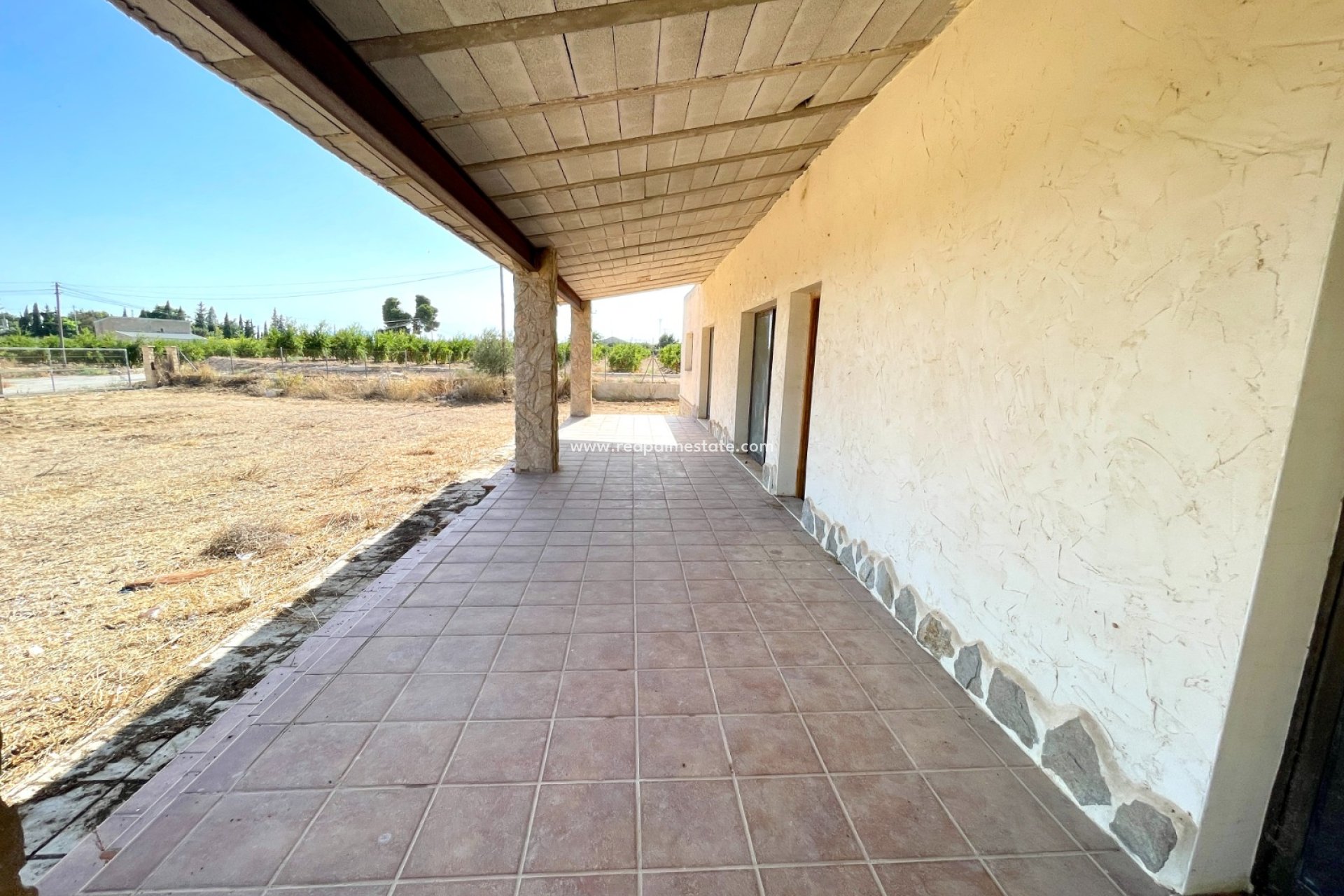 Reventa - Finca / Propiedad de Campo -
Elche - Costa Blanca
