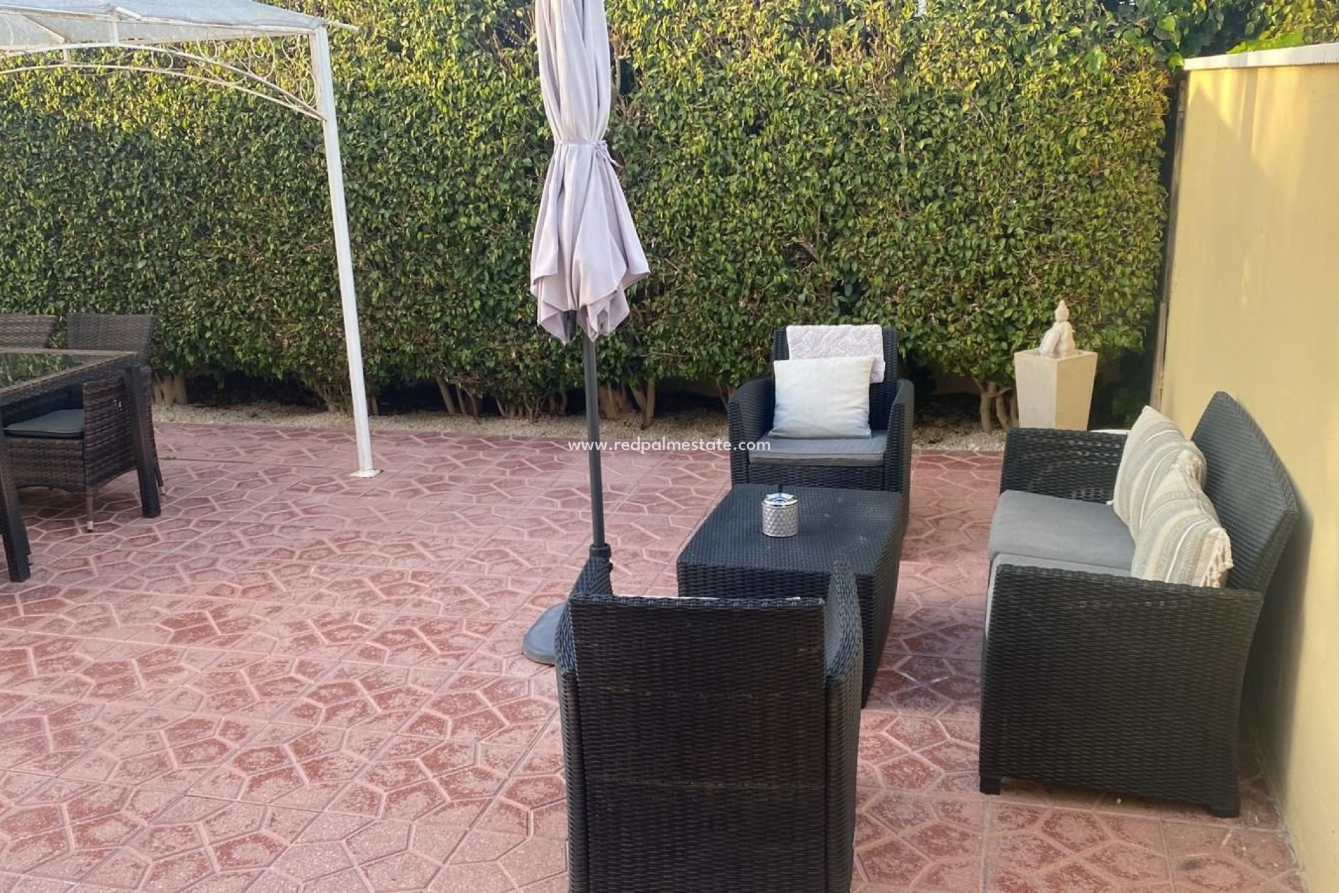 Reventa - Finca / Propiedad de Campo -
Elche - Costa Blanca