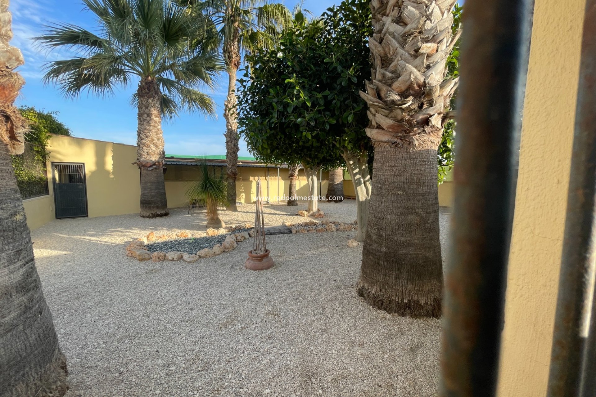 Reventa - Finca / Propiedad de Campo -
Elche - Costa Blanca