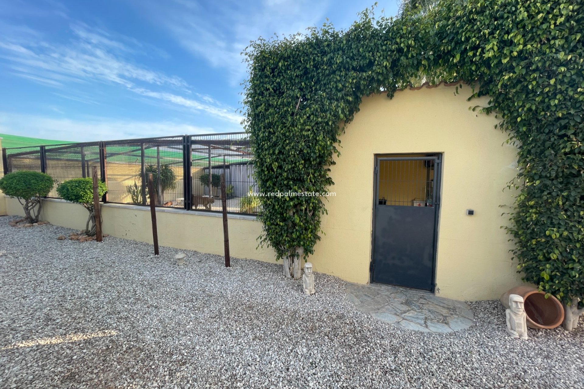 Reventa - Finca / Propiedad de Campo -
Elche - Costa Blanca